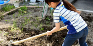 平屋で家庭菜園やガーデニングなど、自然と触れ合う暮らし